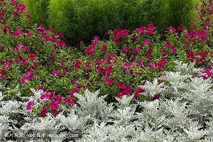 早安心语优美的语句2021年