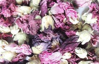 给对象的早安温暖人心的句子44句