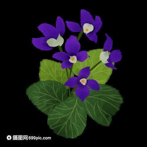 早安心语正能量励志 早安心语经典语录合集71句