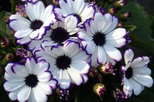 生活背后的心酸的句子 生活中太多无奈的句子推荐73句