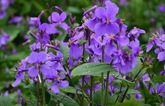 爱情伤感的句子大全