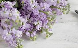 感恩父母的唯美古风句子