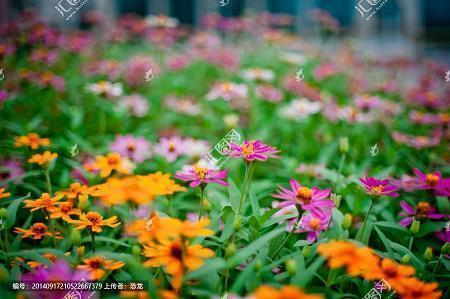 父亲节走心文案 父爱暖心简短文案