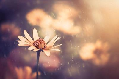 睡前心语正能量短句摘抄23句