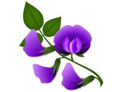 晚安语录睡前正能量微语集锦29句