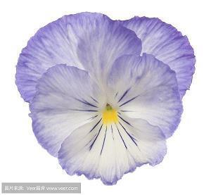 适合深夜发抖音的伤感句子 深夜发抖音配伤感短句