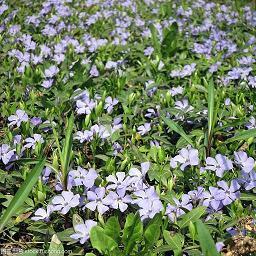 让你心碎的句子_伤心欲绝的话