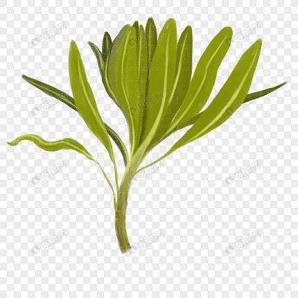 对人生充满失望的句子