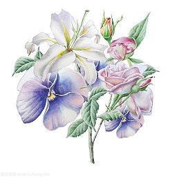 感恩节应该做什么的相关英语句子