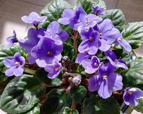 经典刷存在感的朋友圈句子