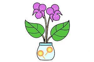 提醒女人保养的句子