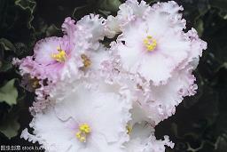 描写大海的句子26句