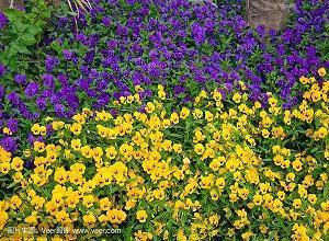 男人气质的话20句