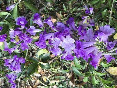 腊八节简短吉祥祝福语超唯美的文案说说73句