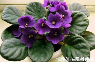 qq群符号网名 提拉米苏式爱情