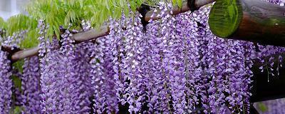 每天发个朋友圈问候一下 适合发朋友圈的早安问候