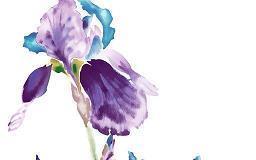 激励高考生的句子汇总57句