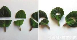 晚安的句子简单短句汇总35句