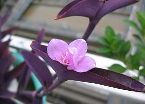 一路走来好累的句子汇总33句