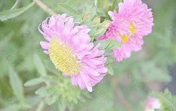 致自己的生日简短感言 有关生日的说说(精选48句)