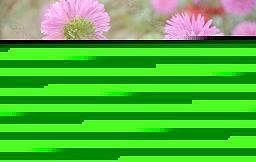 结伴同游开心的句子