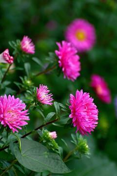 温暖简短的唯美句子汇编79句