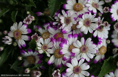 早安正能量励志句子 不负梦想励志短句