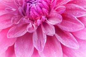 锦上添花雪中送炭说说(精选32句)