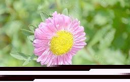 表示对母亲感恩的句子(精选76句)