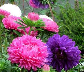 端午节思念家乡的句子汇总30句