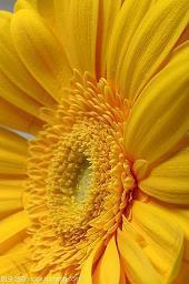 朋友圈伤感扎心语录28句