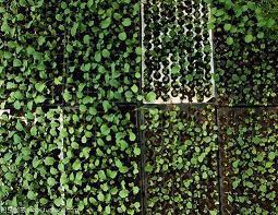 唯美的文艺范句子 爱情应该给人一种自由感，而不是囚禁感