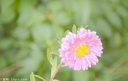 有关疫情的说说的句子(精选29句)