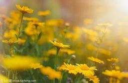 激励失恋的人振作句子 没有什么过不去，只是再也回不去