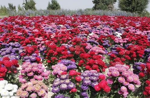 给女朋友怎么说晚安 发给喜欢女生晚安的话(精选48句)