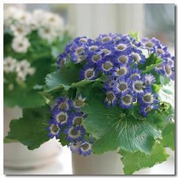 2021劳动节名言精选80句