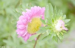 感谢公司发月饼文案 感谢公司发月饼怎么说(精选45句)