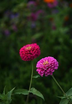 晒娃的说说发朋友圈 晒娃十字短句摘抄26句