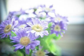 出其不意的下一句 出其不意的意思 出其不意造句 出其不意的近