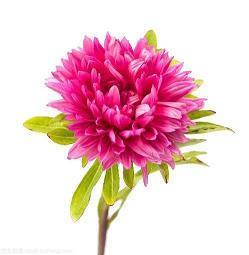 改变怎么造句一年级