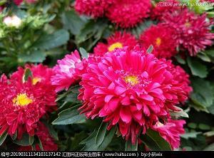 致对我说谎的人一句话