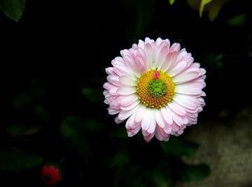 致自己2022年的唯美句子(精选30句)