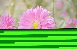 描写人物品质的句子14句