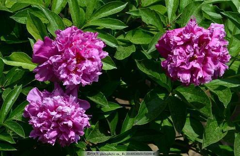 朋友圈旅游心情短语好姐妹旅游回来说说汇总81句