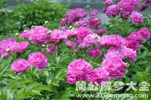 国庆节快乐祝福简短一句话