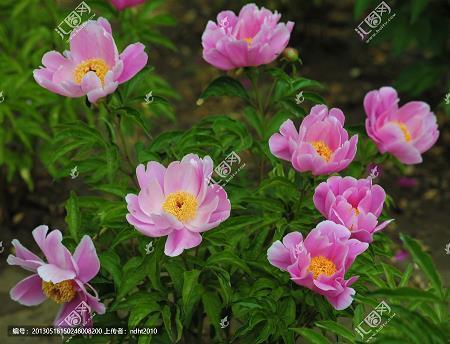 描写时间飞逝的句子 描写时间过得快的句子