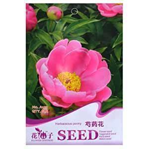 快手伤感吸引人的句子