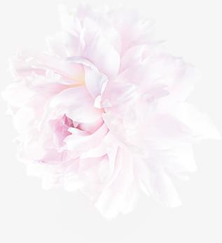 人生看淡感悟的句子 看淡一切的经典语录精选90句