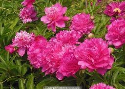 辛苦的句子 形容辛苦但值得的句子(精选45句)