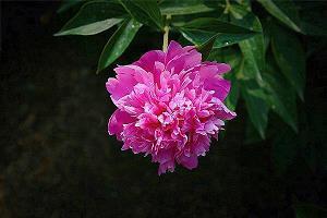 2021最新发朋友圈句子77句